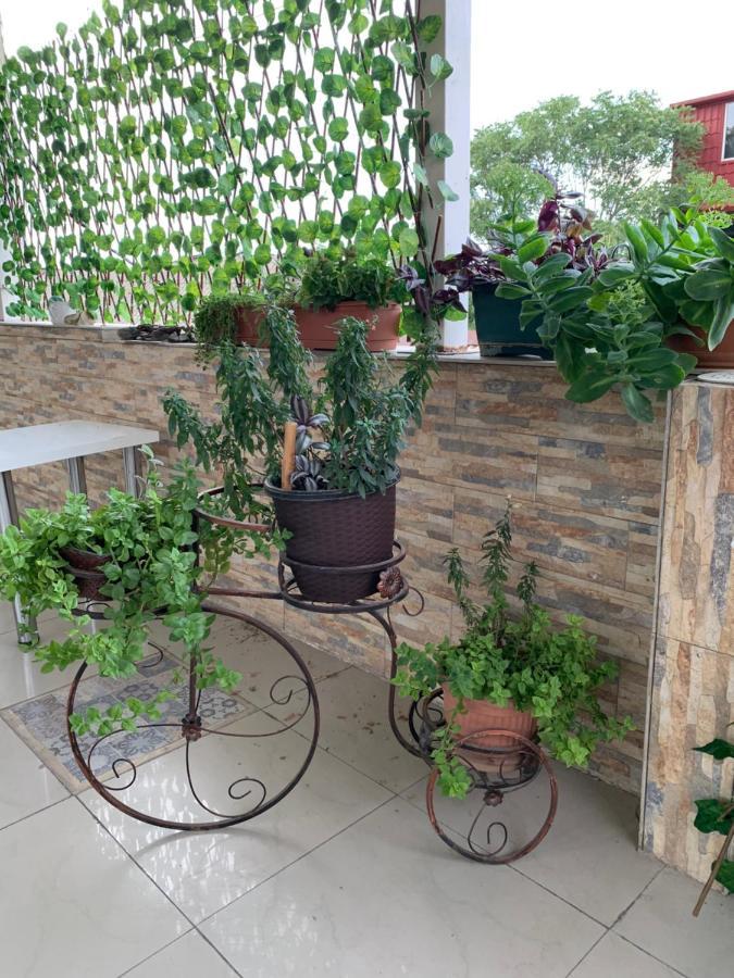 Отель Davidhotel Тбилиси Экстерьер фото